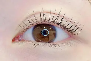 マツエク・マツパ FOXY LASH the beautyのマツエク・マツパデザイン