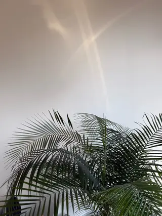 ミディアム 🌻Kaho/透明感 カラー/髪質改善🌻のヘアスタイル