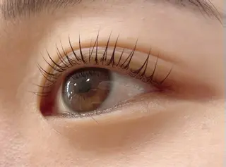 マツエク・マツパ Carina所属・🦋Carina荻窪 kazumi🦋のマツエク・マツパデザイン