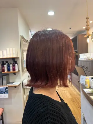 ショート カラー 内田 有紗のヘアスタイル