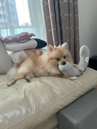 Sona hair & eyelash salon所属・紙屋 隼人のヘアスタイル