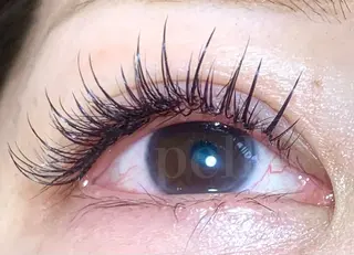 マツエク・マツパ spell_eyelash所属・spell eyelashのマツエク・マツパデザイン