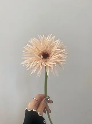 🌻花屋併設🌻濱 幸帆のヘアスタイル