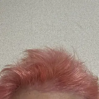 ショート カラー 🦖ノザワ リンカ🦖のヘアスタイル