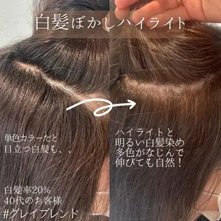 セミロング カラー DX SHARE SALON所属・matka白髪ぼかし 大人ヘア/KEIKOのヘアスタイル