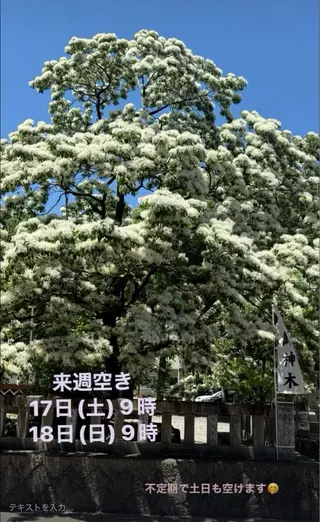 Blue Mist所属・清水 由希のエステ・リラクイメージ