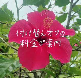 ネイル lune nail_2017のその他イメージ