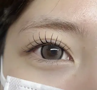 LEDパリエク100本🌿‬ | 有川 桜