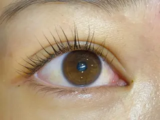 マツエク・マツパ DaisyLash 京橋店のマツエク・マツパデザイン