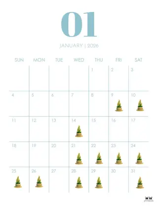 韓国レイヤー /艶カラー/ᴿᴵᴺのヘアスタイル