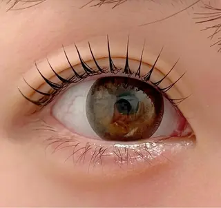 マツエク・マツパ 表参道駅徒歩2分🫧 まつげパーマ/Emiのマツエク・マツパデザイン