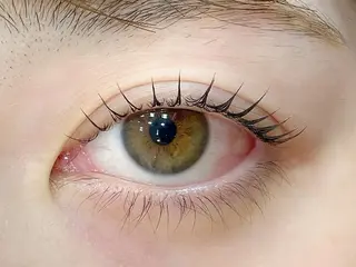 マツエク・マツパ アルターエクラ 飯島のマツエク・マツパデザイン