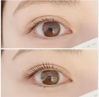 マツエク・マツパ ｍｉｐｐｙ 🪽のマツエク・マツパデザイン