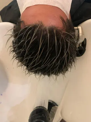 ショート カラー メンズ 大久保 隆蔵のヘアスタイル