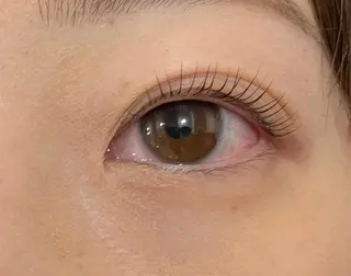 マツエク・マツパ マリーテレジア 🌻RUKAのマツエク・マツパデザイン