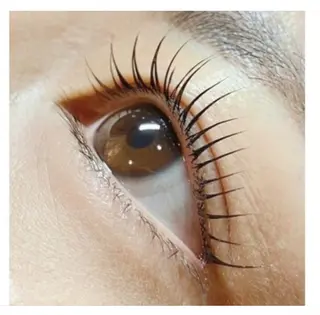 マツエク・マツパ THE EYEBROW「ザ・アイブロウ」船橋2nd所属・THE EYEBROW 寺澤のマツエク・マツパデザイン