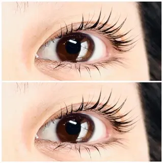 マツエク・マツパ eyelash salon　sakura所属・eyelash sakuraの眉毛・アイブロウイメージ