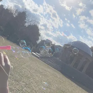 Plaatje所属・Plaatje💐 ゆずはのヘアスタイル