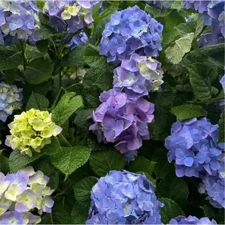 GOTODAY SHAiRE SALON (原宿本店)所属・stylist 🎀 kanaのその他イメージ