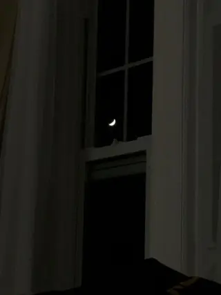 ∴Sanae. ∴ トータルビューティーのマツエク・マツパデザイン