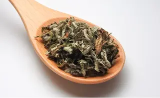 gratia eyelash・nail・beauty所属・gratia ゆかのエステ・リラクイメージ