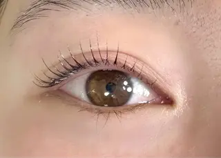 マツエク・マツパ マリーテレジア USUIのマツエク・マツパデザイン