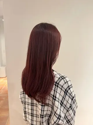 セミロング ホリグチ ルナのヘアスタイル