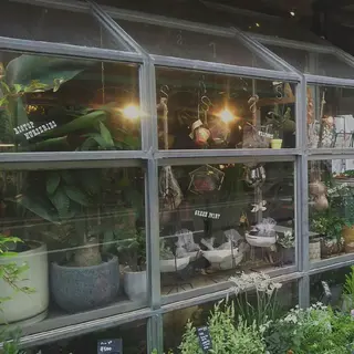 iplus まつげ、眉毛、耳つぼのマツエク・マツパデザイン