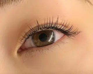 マツエク・マツパ CAMELLIA カメリアのマツエク・マツパデザイン