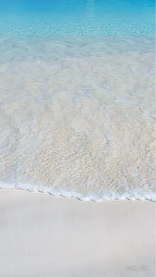 ネイル asuka 🐰のネイルデザイン