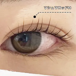 マツエク・マツパ LC尾張旭店所属・LC尾張旭店🫧 いしいのマツエク・マツパデザイン