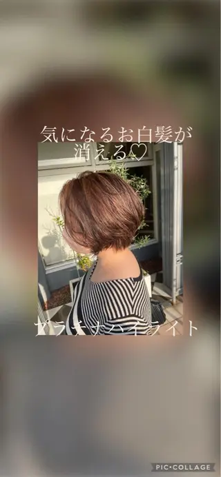 ショート カラー 佐々木 麻純のヘアスタイル