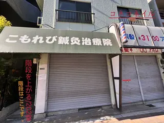 ネイル ハン シカのネイルデザイン