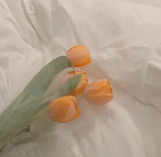 カラー 透明感/韓国風 🤍moeka🤍のヘアスタイル