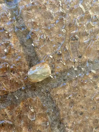 ネイル brilliant s.kのネイルデザイン