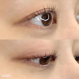 マツエク・マツパ 美髪・シールエクステ ホソタニリョウコのヘアスタイル