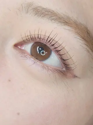 マツエク・マツパ Refoile所属・11/4open👏 Refoile🎉のマツエク・マツパデザイン