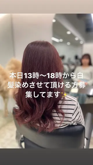 ミディアム 🤍ショートボブ 🤍NANAMI🤍のヘアスタイル
