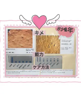 真下 美穂の眉毛・アイブロウイメージ