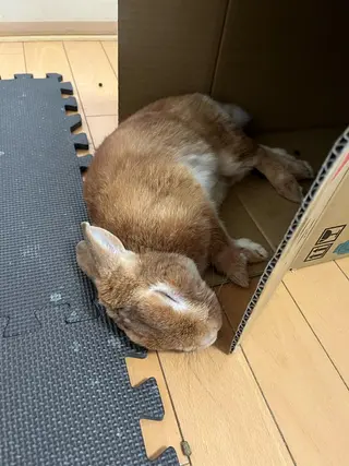 Sona hair & eyelash salon所属・紙屋 隼人のヘアスタイル