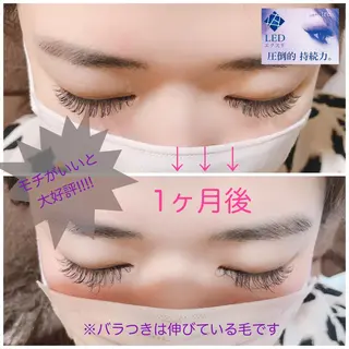 マツエク・マツパ KAINALU. eye beauty salon所属・KAINALU. アンドヘルシー専門のマツエク・マツパデザイン