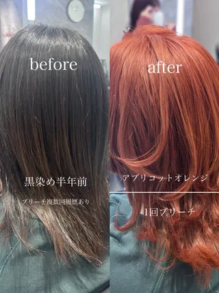 ロング カラー 心斎橋/ブリーチなし 髪質改善/レイヤーのヘアスタイル