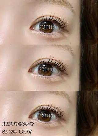 マツエク・マツパ DOT1101 asami🌼のマツエク・マツパデザイン