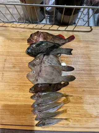 キッズ POLA伏見稲荷店所属・POLA 梧桐　杏子のエステ・リラクイメージ