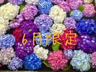 🍒当日もOK🍒 𝑳𝑼𝑵𝑨花井のネイルデザイン