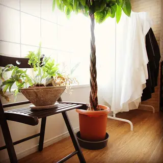 k. akiraのヘアスタイル