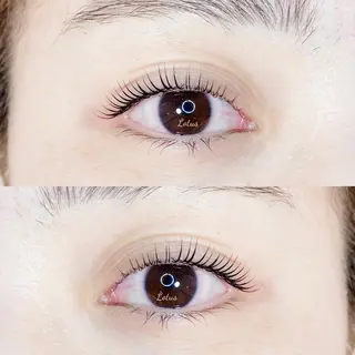 マツエク・マツパ Lotus所属・Lotus ロータスのマツエク・マツパデザイン