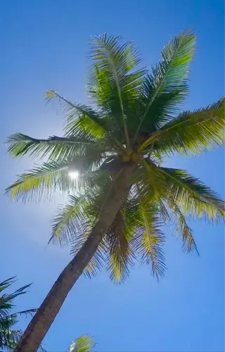 𝐘𝐎𝐒𝐇𝐈 𝐌𝐈🌞🏝のマツエク・マツパデザイン