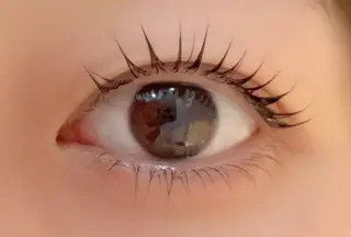 マツエク・マツパ アレグレス所属・アレグレス@池袋 🌹大人気店🌹のマツエク・マツパデザイン