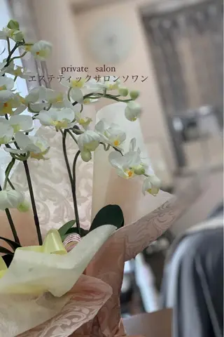 潤い艶肌・身体ケア /貸切りサロンソワンのエステ・リラクイメージ